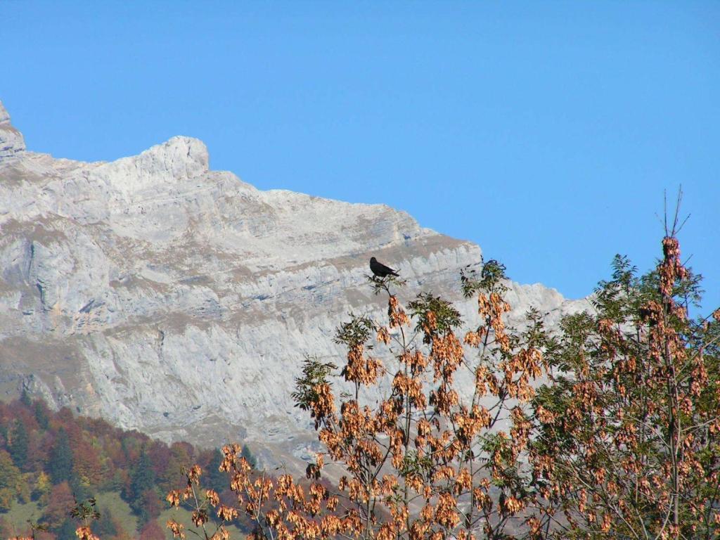 Chalet Narcisse Sixt Szoba fotó
