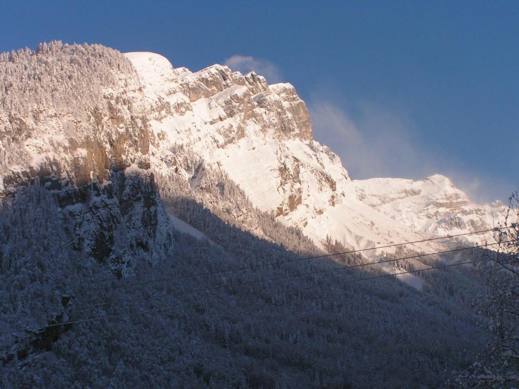 Chalet Narcisse Sixt Szoba fotó